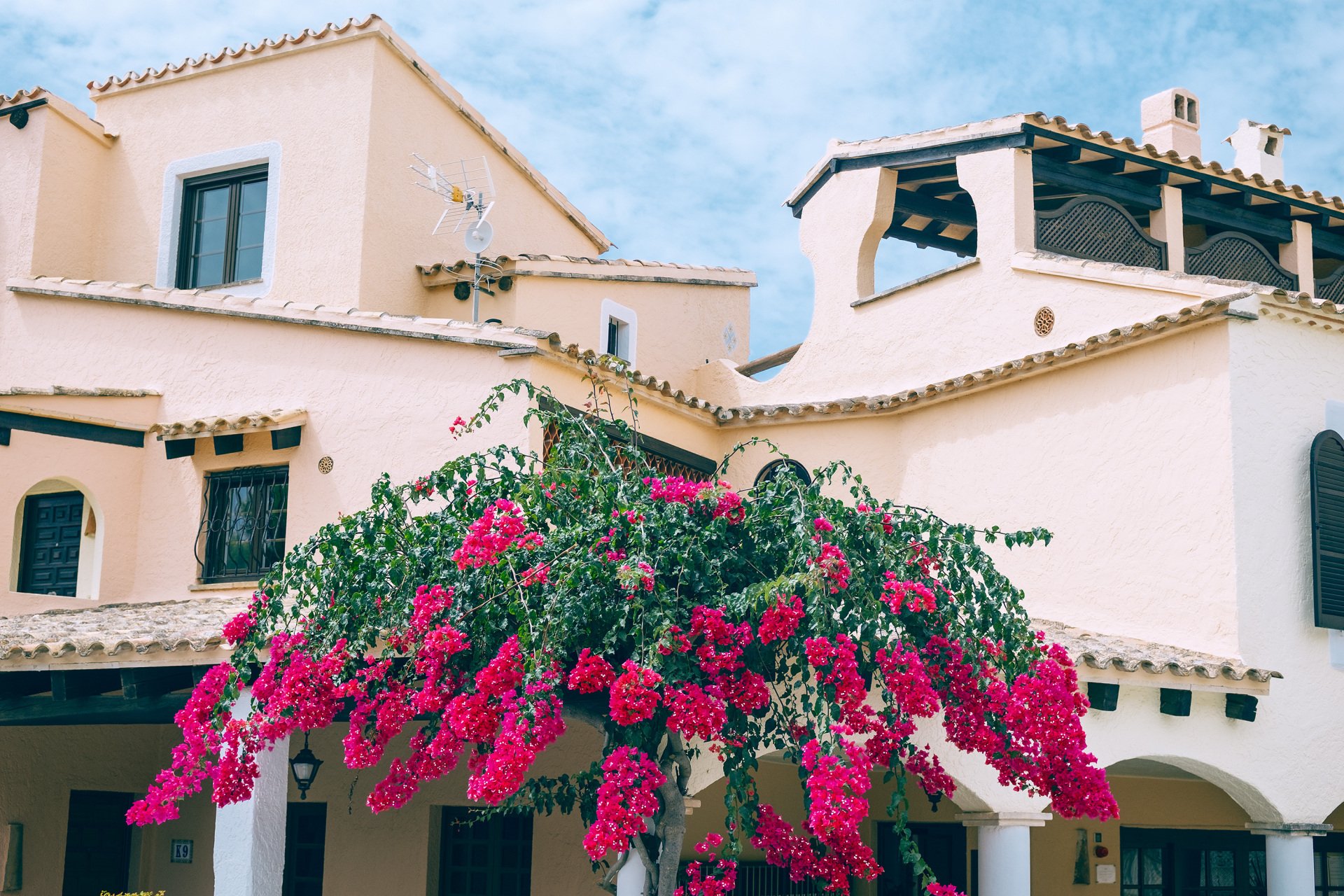 Edificio de fachadas claras con tejados de teja, terraza cubierta con vigas oscuras, arcos y una planta de abundantes flores rosas en primer plano.