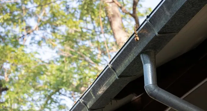 instalación de canalones a bajo coste en Ejea de los Caballeros